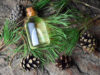 Flasche mit Kräuteröl, daneben Kiefernzweige und Zapfen.